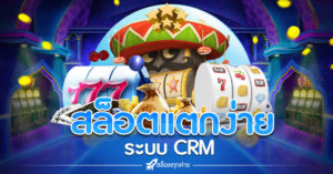 สล็อตแตกง่าย crm